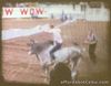 1955 Home Movie 8mm Reel Arizona Rodeo Bucking Bronco Bull Riding Parade Vegas