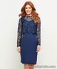 Joe Browns Special Occasion Navy Lace Overlay Jersey Fitted Dress UK 12 BNWT