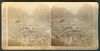 1900 Philippines RAFTS OF COCOANUTS Stereoview Card