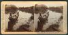 1901 Philippines NAVIGATION FIRST BEGAN SUBURBS OF MANILA Stereoview Card