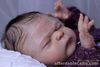 Nellie By Cassie Brace - Blank Unpainted Reborn Doll Kit SOLD OUT HTF