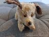 Vintage Mohair Dog Antique Cute Collectable Toy Bead Eyes 24cm