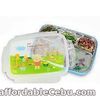 5 Compartments Bento Style Lunch Box with Spoon and Fork