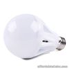 Indoor 5W LED Bulb (Warm White)