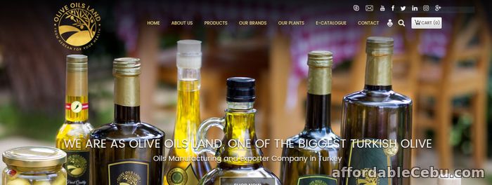 1st picture of extra virgin olive oil Offer in Cebu, Philippines