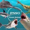 PNSO Ocean Animal Model Megalodon Atopodentatus Eurhinosaurus Collector Dinosaur
