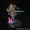 Warhammer 40k Painted Custodes blade champion