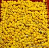 Lego Minifigure Yellow Heads Lot of 50 Parts Random Selection Faces City  Space