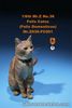 Mr.Z 1/6 Cute Domestic Cat Felis catus Pet Figure Animal Decor Model Toy Gift