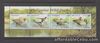 Philippine Specimen Stamps 2007 Philippine Wild Ducks Souvenir sheet MNH