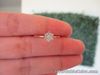 SALE‼️.068 CTW Diamond Ring 14k Twotone Gold JS109R-RG PREORDER sep