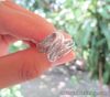 .30 Carat Diamond with Baguette Cut White Gold Ring 10k R114 sep