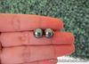 9.2mm South Sea Gray Pearl Earrings 14k White Gold E534 sep
