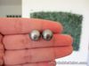 10.7mm South Sea Gray Pearl Earrings 14k White Gold E82 sep