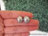 12.3mm South Sea Light Gray Pearl Earrings 14k White Gold E532 sep