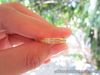.20 CTW Diamond Half Eternity Ring 18k Yellow Gold HE29 sep