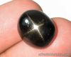 13.0 Carats RARE Black STAR DIOPSIDE 14x12x8mm Loose INDIA Oval Cab Untreated