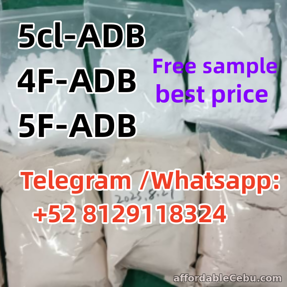 1st picture of 5cl-ADB 4F-ADB 5F-ADB Stable quality For Sale or Swap in Cebu, Philippines
