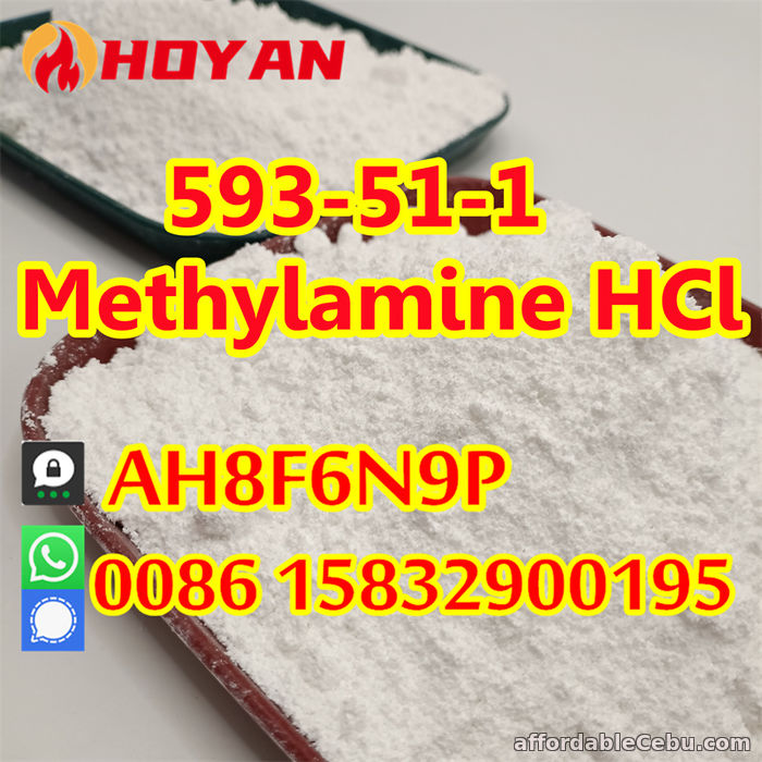1st picture of Methylamine hydrochloride CAS 593-51-1 mma powder door to door For Sale in Cebu, Philippines
