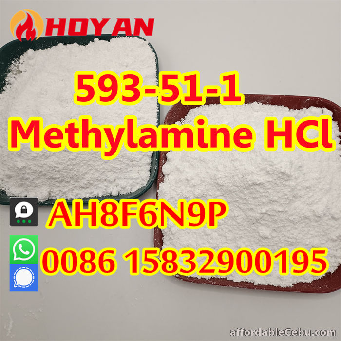 4th picture of Methylamine hydrochloride CAS 593-51-1 mma powder door to door For Sale in Cebu, Philippines