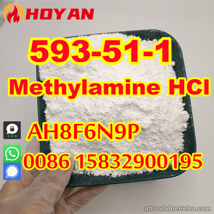 3rd picture of Methylamine hydrochloride CAS 593-51-1 mma powder door to door For Sale in Cebu, Philippines
