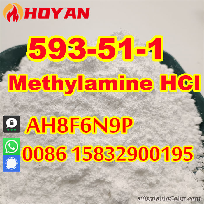 2nd picture of Methylamine hydrochloride CAS 593-51-1 mma powder door to door For Sale in Cebu, Philippines