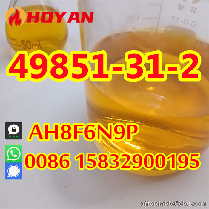 4th picture of CAS 49851-31-2 wholesale price 2-Bromo-1-Phenyl-1-Pentanone hot sell For Sale in Cebu, Philippines