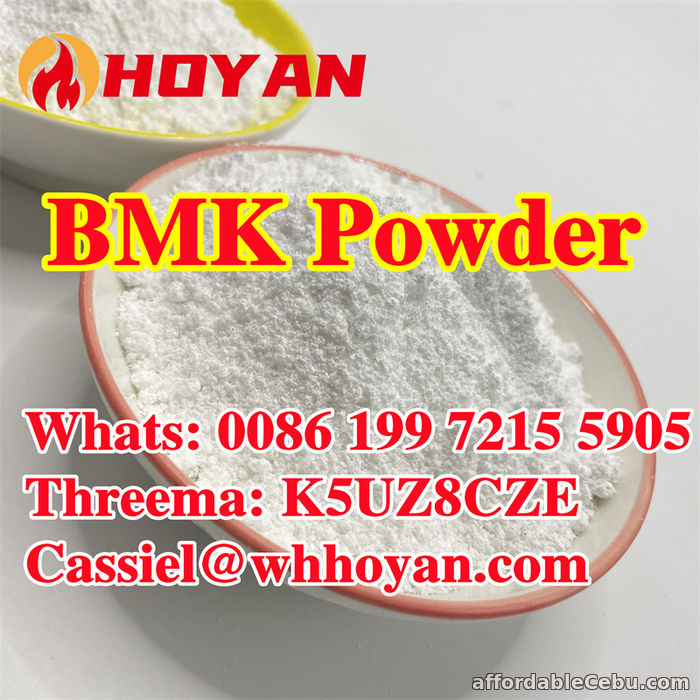 1st picture of Huge stock BMK powder cas 5449-12-7 with lowest price For Sale in Cebu, Philippines