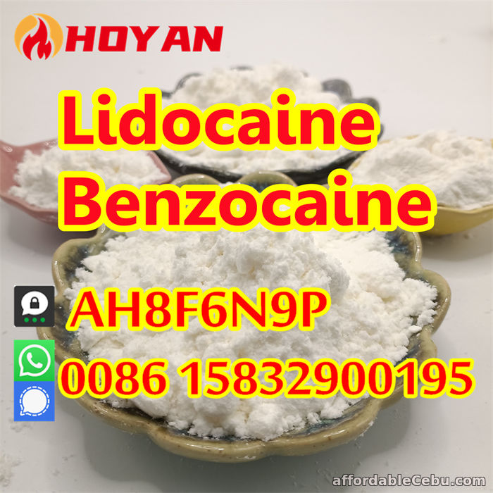 1st picture of Anesthetic lidocaine powder CAS 137-58-6, 73-78-9 bulk quantity in stock For Sale in Cebu, Philippines