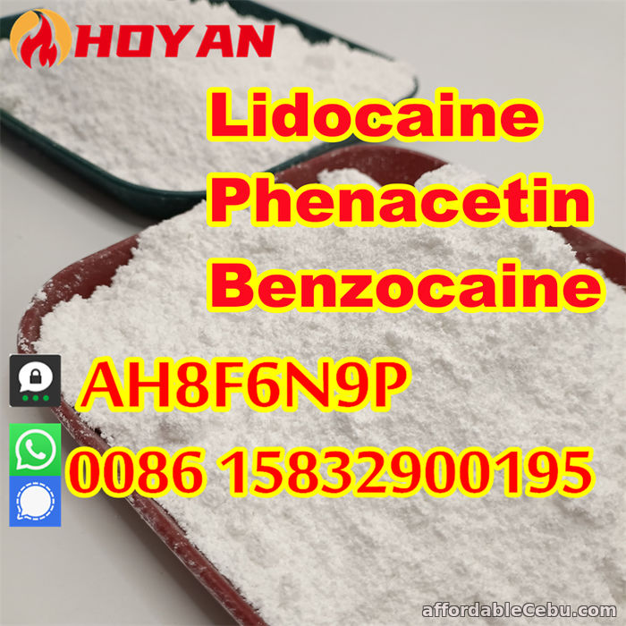 4th picture of Anesthetic lidocaine powder CAS 137-58-6, 73-78-9 bulk quantity in stock For Sale in Cebu, Philippines