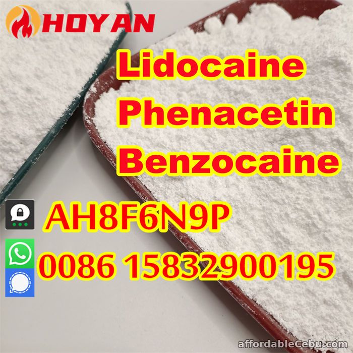 3rd picture of Anesthetic lidocaine powder CAS 137-58-6, 73-78-9 bulk quantity in stock For Sale in Cebu, Philippines