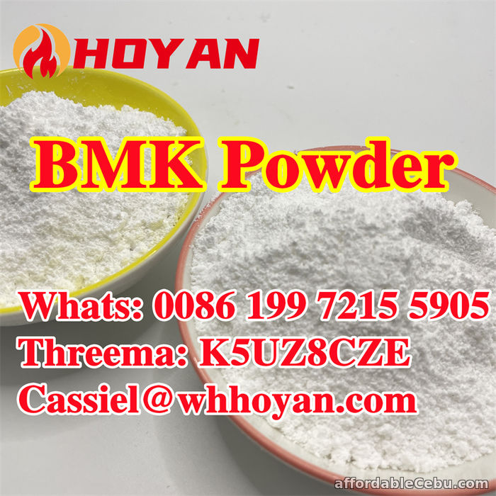 2nd picture of Global hot BMK PMK Powder cas 5449-12-7 BMK Glycidic Acid (sodium salt) For Sale in Cebu, Philippines