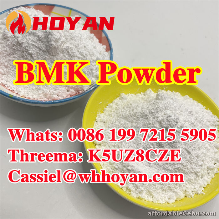2nd picture of CAS 5449-12-7 BMK Glycidic Acid (sodium salt) in stock For Sale in Cebu, Philippines