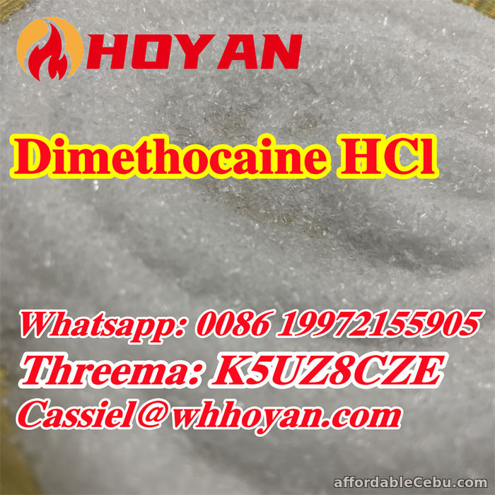 2nd picture of Larocaine 99% dimethylcaine 94-15-5 in large stock For Sale in Cebu, Philippines