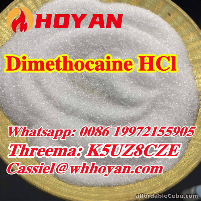 1st picture of dimethocaine hydrochloride CAS 94-15-5 in stock For Sale in Cebu, Philippines