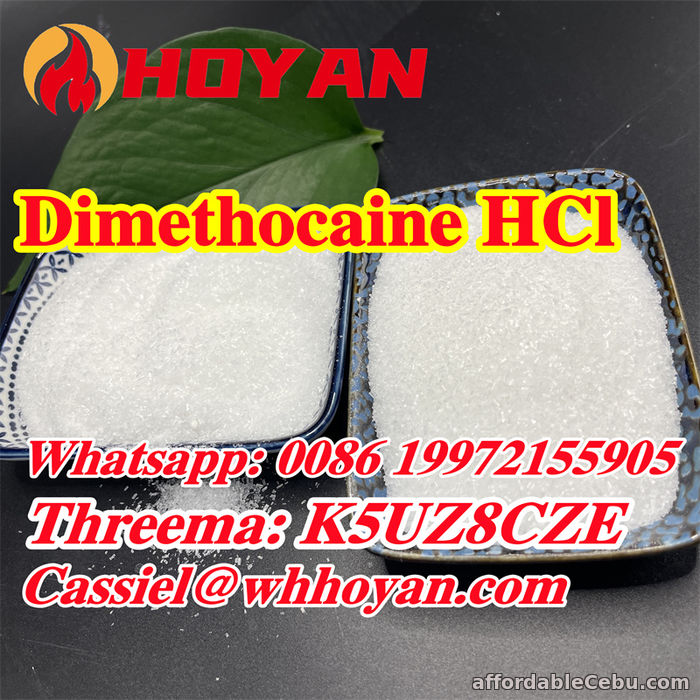 2nd picture of dimethocaine synthesis CAS 94-15-5 free sample top grade For Sale in Cebu, Philippines