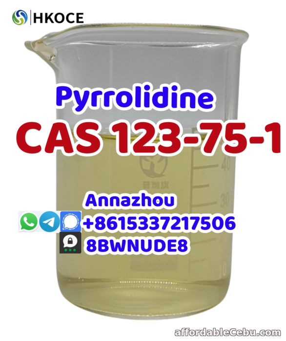 1st picture of Hot-selling good quality pyrrolidine cas 123-75-1 For Sale in Cebu, Philippines