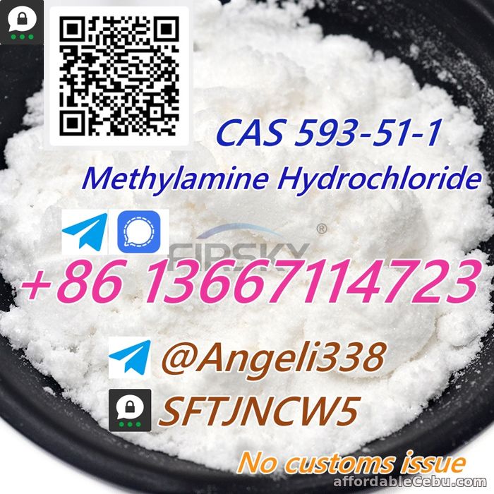 1st picture of CAS 593-51-1 Methylamine Hydrochloride(hcl)  Threema: SFTJNCW5 For Sale in Cebu, Philippines