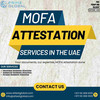 Comprehensive MOFA Attestation Support for UAE Residents