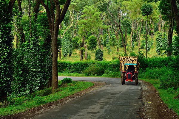 1st picture of Coorg Weekend Tour Offer in Cebu, Philippines