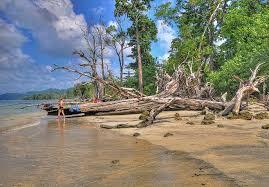 1st picture of Andaman Tour Packages from Pune Offer in Cebu, Philippines