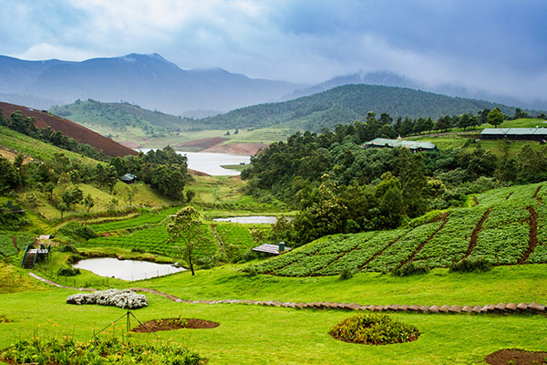 1st picture of Ooty Weekend Tour Offer in Cebu, Philippines