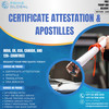 Hassle-Free Certificate Attestation Services in the UAE