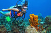 Andaman Adventure Tour Package