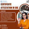Hassle-Free Diploma Certificate Attestation in the UAE