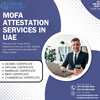 Affordable MOFA Attestation Services in UAE: No Hidden Fees