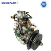 Injection Pump NJ-VE6/12F1300R377-1