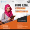 Fast and Reliable Degree Certificate Attestation Services in the UAE