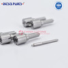 Common Rail Fuel Injector Nozzle L023PBC