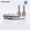 Common Rail Fuel Injector Nozzle L239PBC